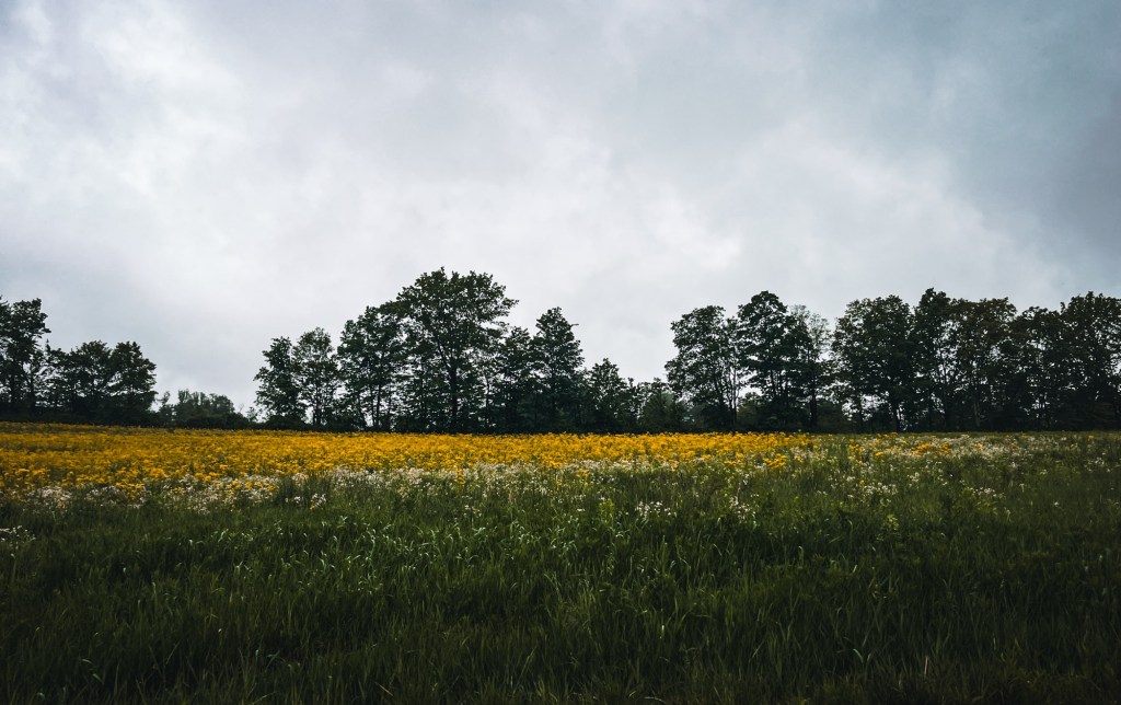 Rain, Rain Go&nbsp;Away